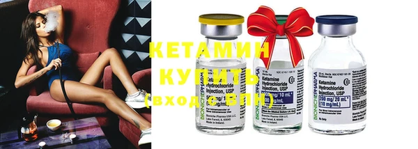 сатива Богданович