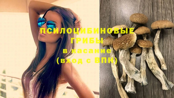 сатива Богданович