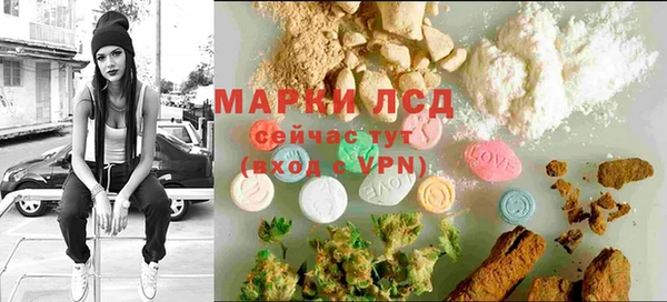 сатива Богданович