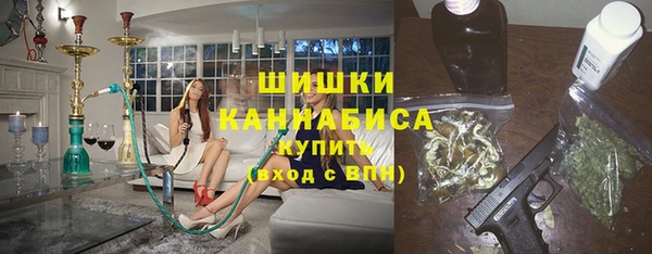 сатива Богданович